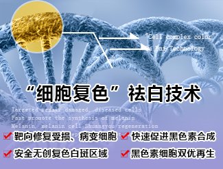 “细胞复色”疗法的理论突破