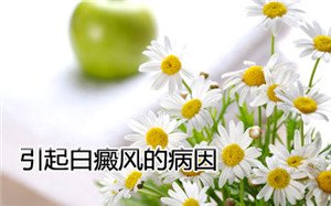 诱发白癜风的原因有哪些 诱发白癜风的原因有哪些