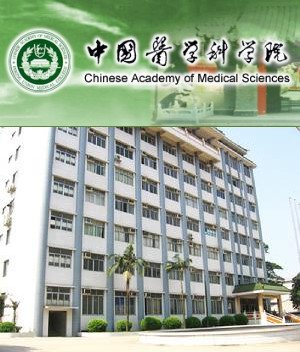 雷鸣 住院部主任