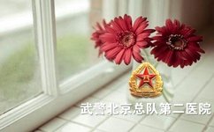 引发白癜风的因素有哪些 引发白癜风的因素有哪些