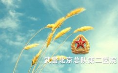 儿童白癜风经常发作的原因有哪些 儿童白癜风经常发作的原因有哪些