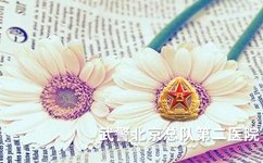 得了白癜风饮食常识有哪些 得了白癜风饮食常识有哪些