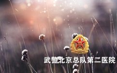 白癜风的明显的特征有哪些 白癜风的明显的特征有哪些