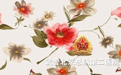 北京看白癜风医院有哪些 北京看白癜风医院有哪些
