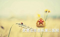 北京白癜风医院哪个好 北京白癜风医院哪个好