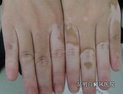 缲ΣЩ